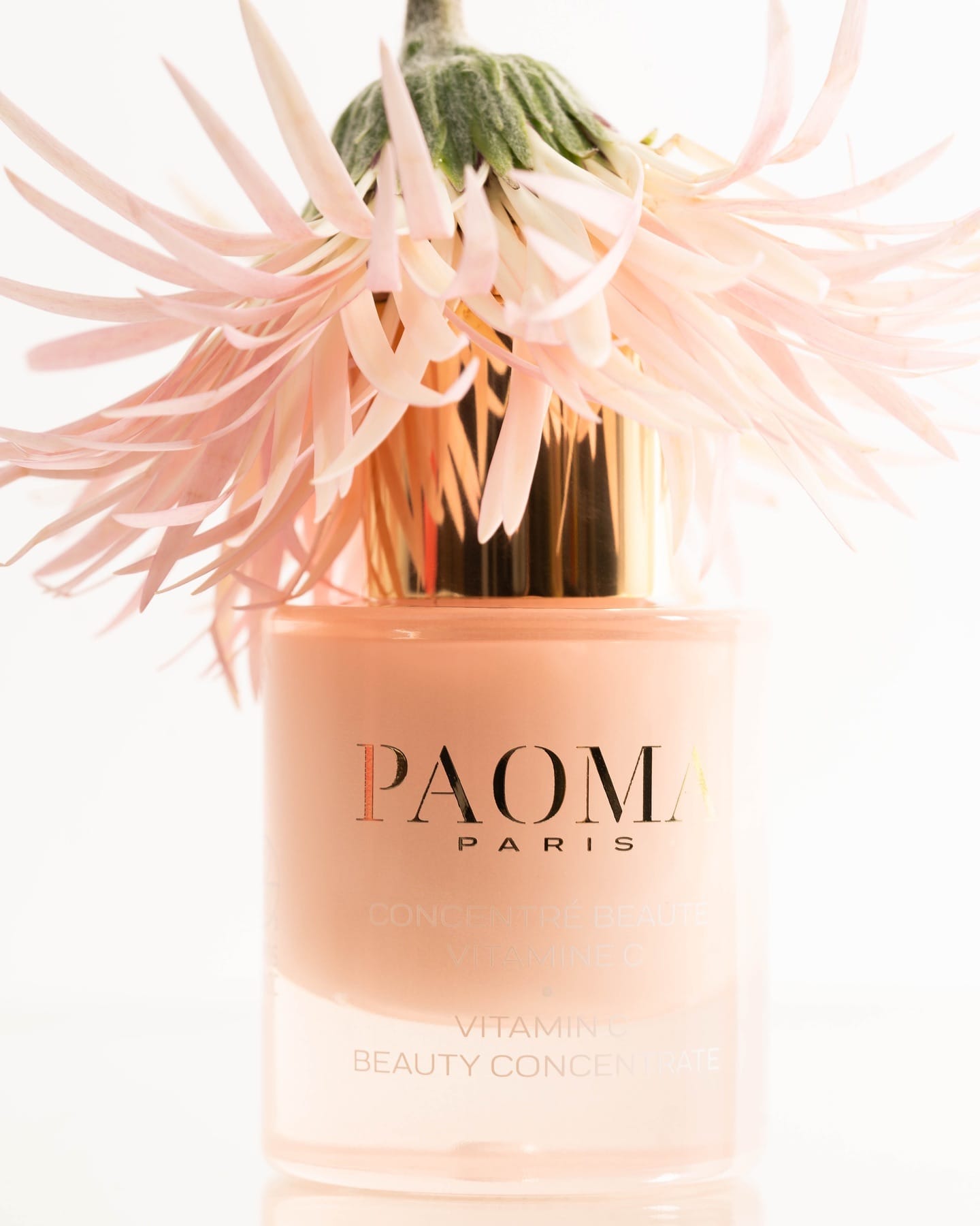 Paoma Paris e la bellezza come gesto d’amore