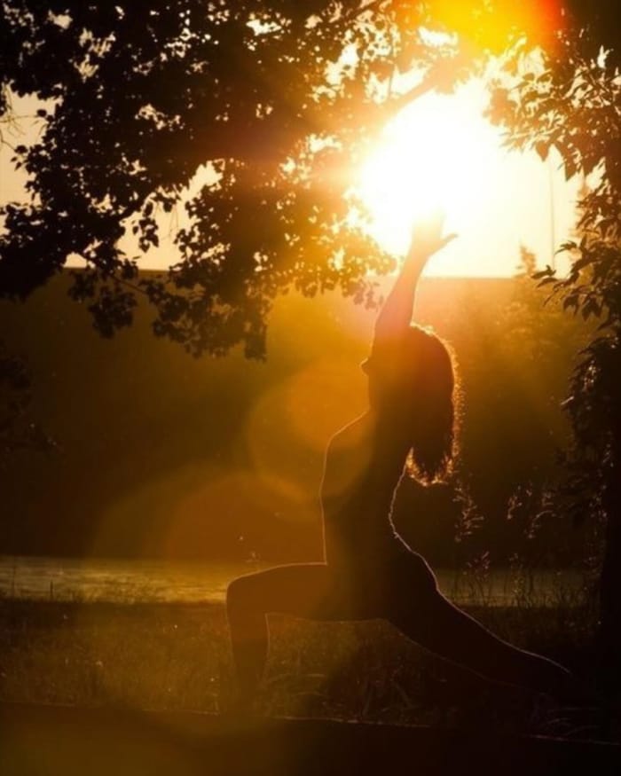 Respiro nel verde: yoga, natura e oli essenziali