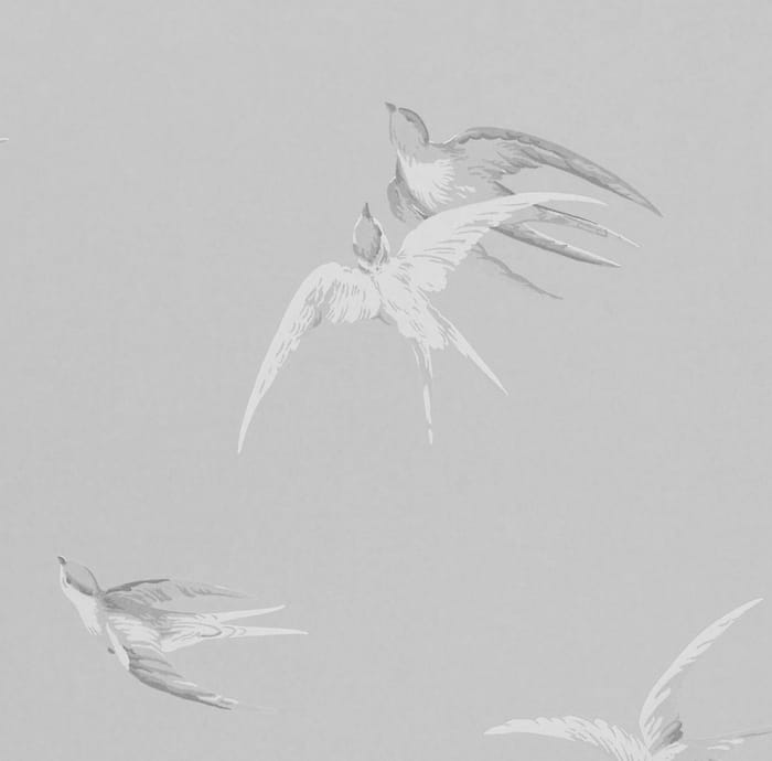 Rondini in volo e piccoli rituali di primavera, la leggerezza che cura